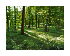 Waldstille | Fine Art Print auf Papier