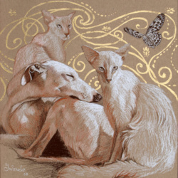 Tierwelten 2